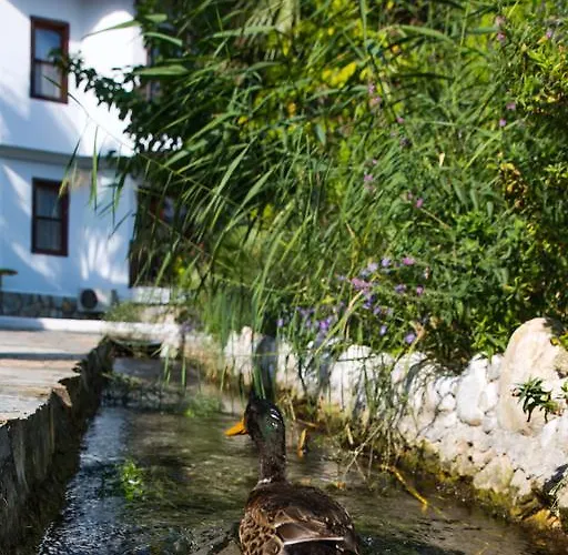 Yucelen Отель 4*